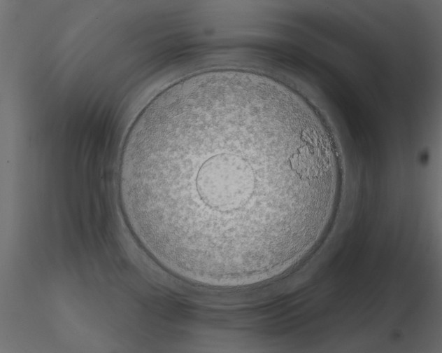 X0000115671338200912241412