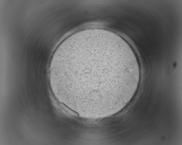 X0000115671341200912241412