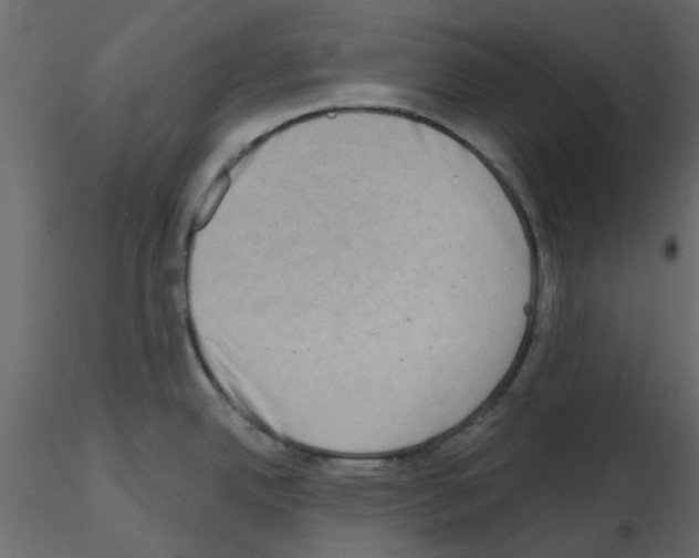 X0000115671342200912241412