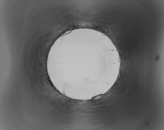 X0000115671345200912241411