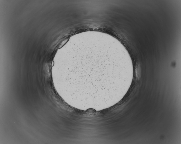 X0000115671347200912241411