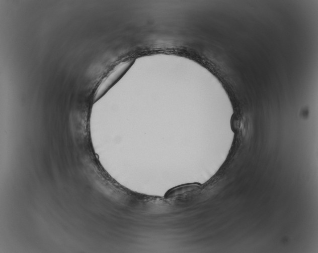 X0000115671348200912241411