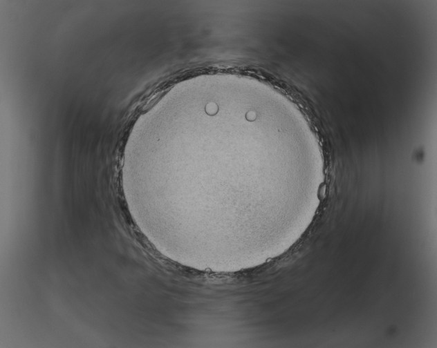 X0000115671349200912241411