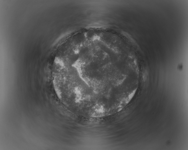 X0000115671350200912241411