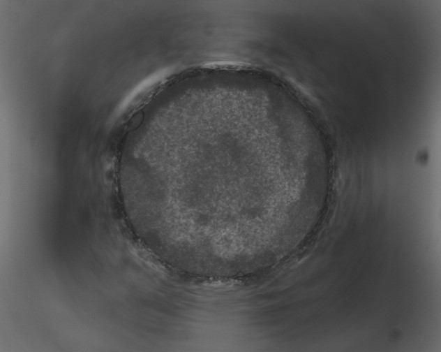 X0000115671351200912241411