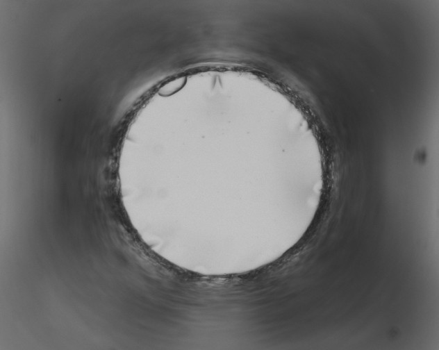 X0000115671352200912241411