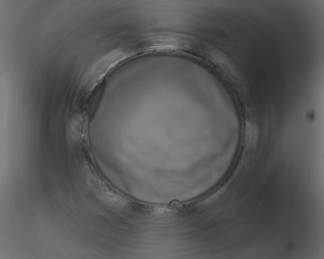 X0000115671353200912241411