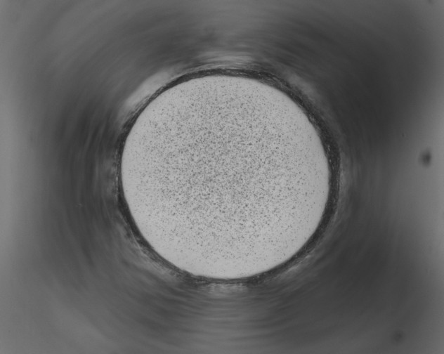 X0000115671354200912241411