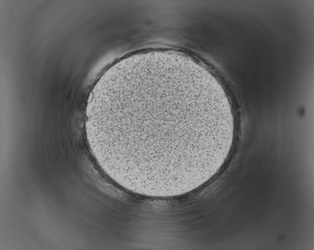 X0000115671355200912241411