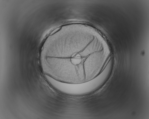 X0000115671357200912241411