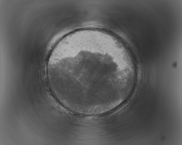 X0000115671358200912241411