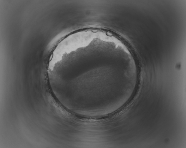 X0000115671359200912241411