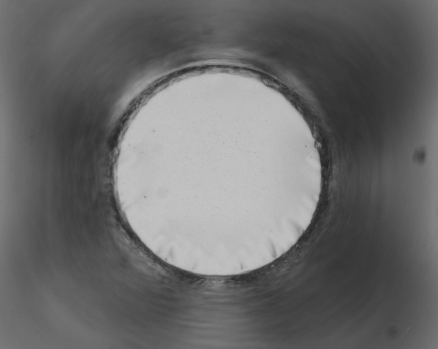 X0000115671360200912241411