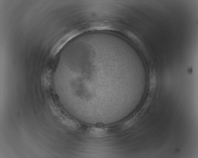 X0000115671361200912241411