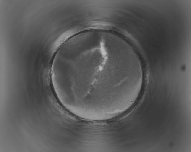 X0000115671362200912241411