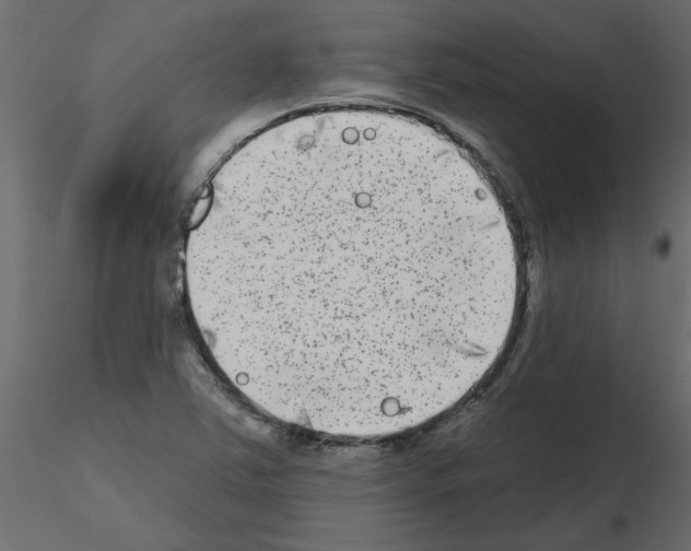 X0000115671363200912241411