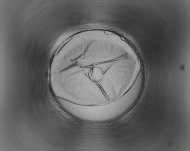 X0000115671365200912241411