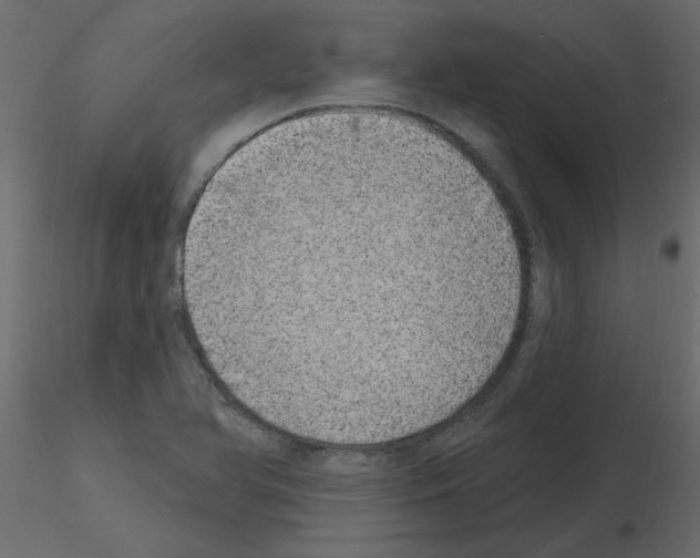 X0000115671366200912241411