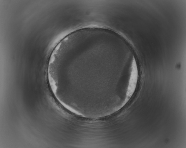 X0000115671367200912241411