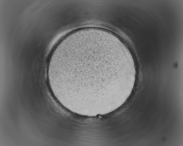 X0000115671368200912241411