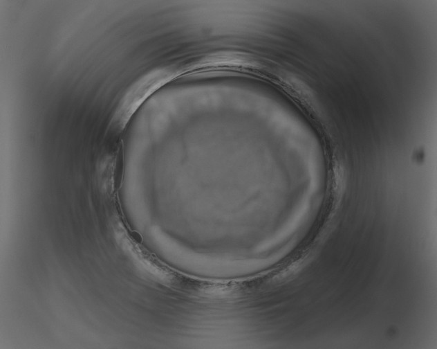 X0000115671369200912241411