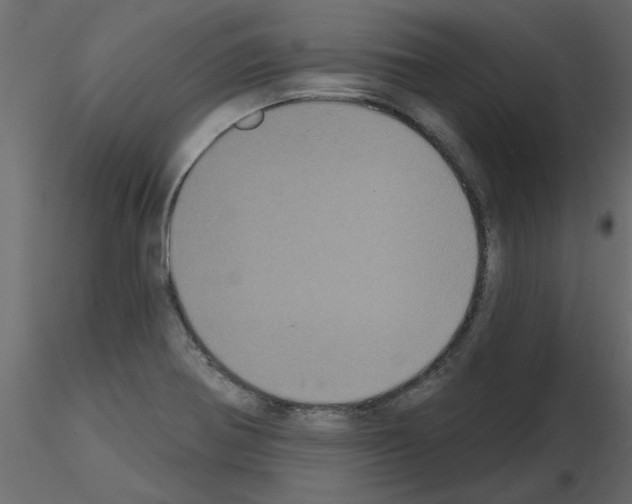 X0000115671370200912241411