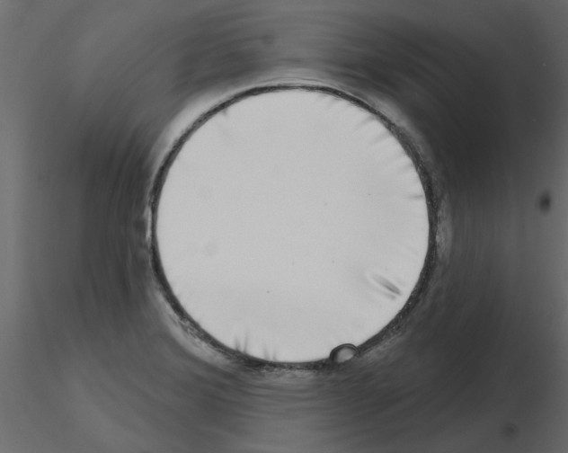 X0000115671372200912241411