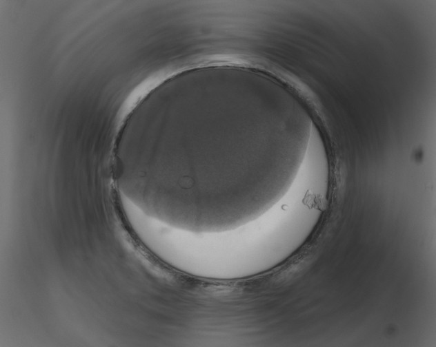 X0000115671373200912241411