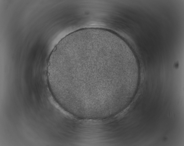 X0000115671374200912241411