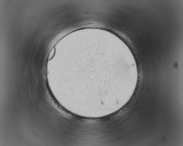 X0000115671375200912241411