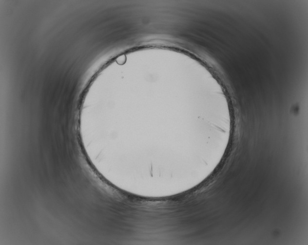 X0000115671376200912241411