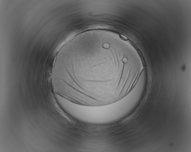 X0000115671377200912241411