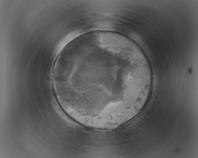 X0000115671378200912241411