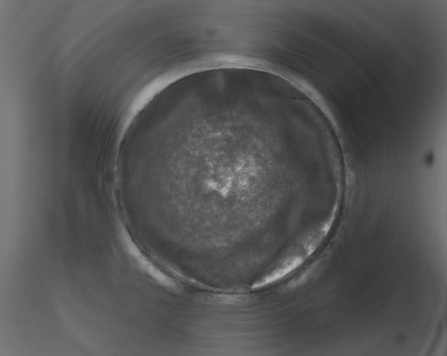 X0000115671381200912241411