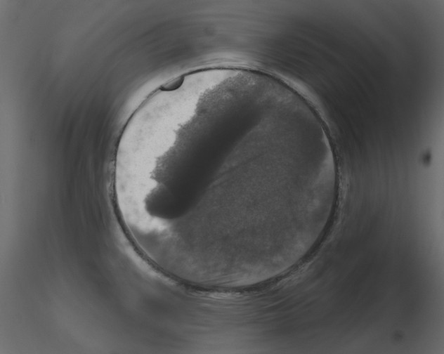 X0000115671383200912241410