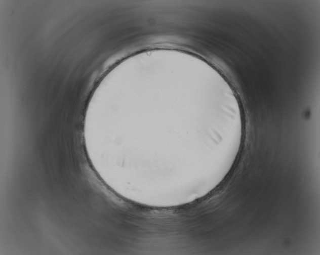 X0000115671384200912241410