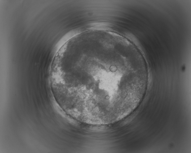 X0000115671386200912241410