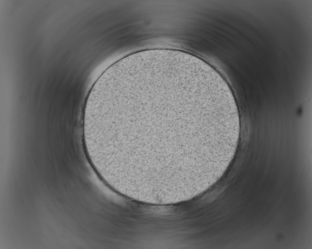 X0000115671387200912241410