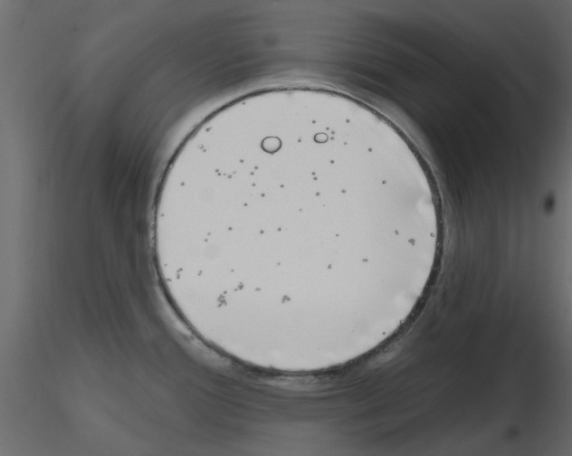 X0000115671388200912241410