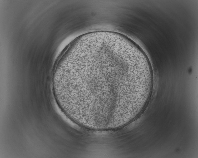 X0000115671389200912241410