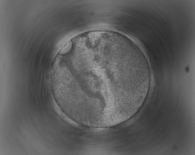 X0000115671390200912241410