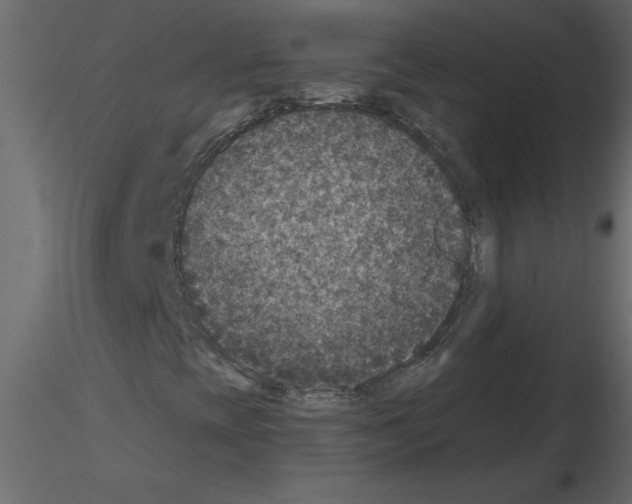 X0000115671393200912241410