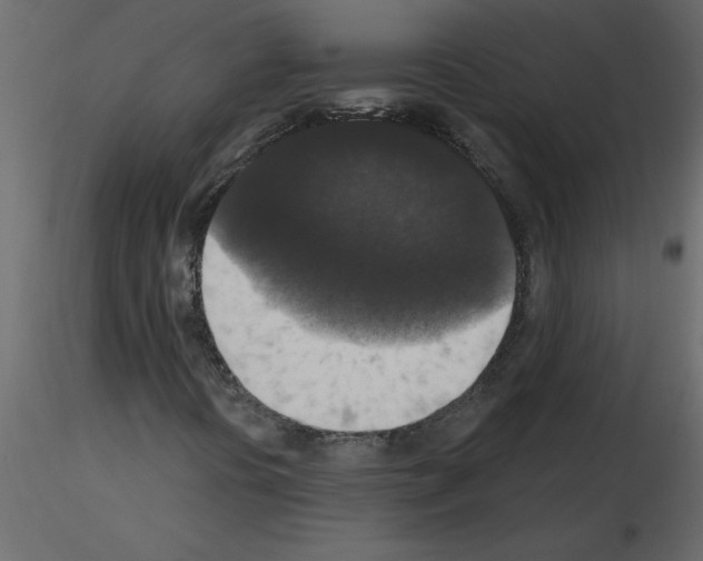 X0000115671394200912241410