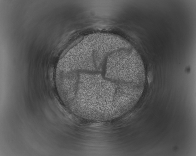 X0000115671396200912241410