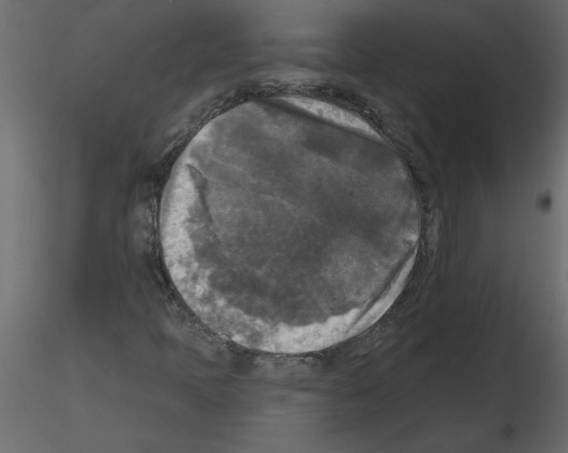 X0000115671397200912241410