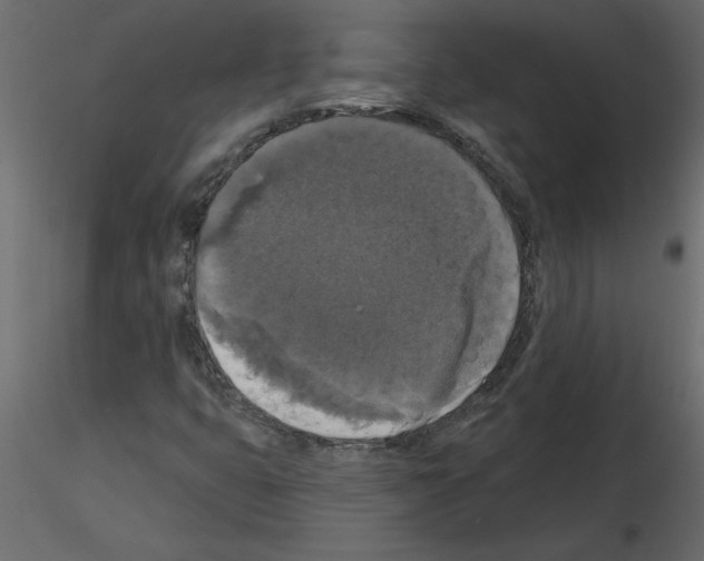 X0000115671399200912241410