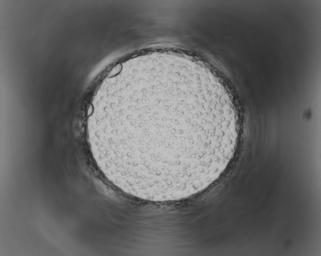 X0000115671400200912241410