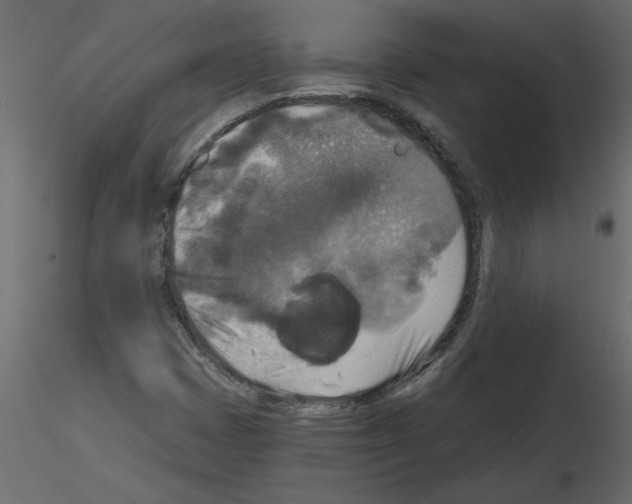 X0000115671401200912241410