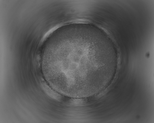 X0000115671402200912241410