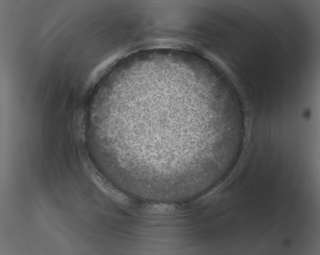 X0000115671403200912241410